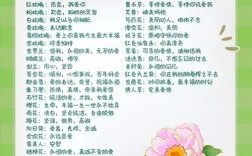 送花名言背后藏着哪些深意？