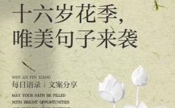 十六岁花季诗歌，藏着怎样的青春心事？