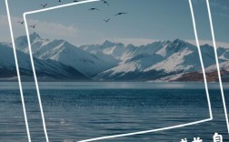 蒙台梭利名言名句，蒙台梭利名言名句原版