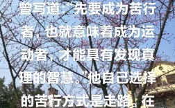 托克维尔名言有何深意？