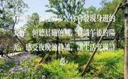 午后 诗歌，午后诗歌点评