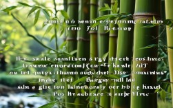 笋孑名言，笋的名言