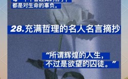 生活名言哲理句，藏着怎样的生命智慧？