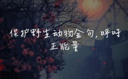 名言如何真正守护动物生命？