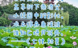 初夏诗歌如何用文字捕捉季节转瞬即逝的灵动与温柔？