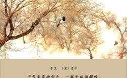 语言、诗歌与诗，本质何在？