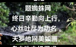有网的字名言，何意？