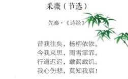 诗歌节选，意蕴何在？