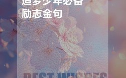 有关追梦的名言，有关追梦的名言警句有哪些呢