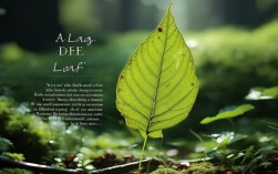 麦城诗歌，麦城诗歌《一枚树叶》