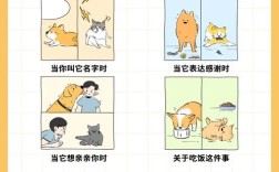 猪猫狗名言，猫猪狗与什么有关