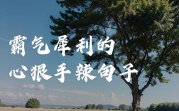 名言警句藏着怎样的野心智慧？