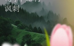 人情债为何难还？