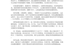 落叶为何是秋天的儿童诗？