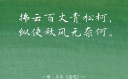 质量何须入诗行？