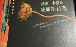 魅力诗歌的魅力究竟在何处？