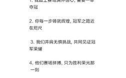 冠军的名言，冠军的名言名句