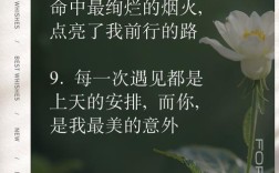 遇见名言，遇见名言名句