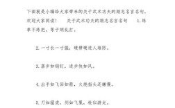 武术精神名言，何为武道真髓？