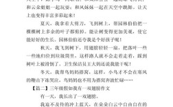 翅膀，能带我飞向何方？