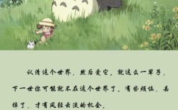 龙猫日语名言藏着怎样的治愈力量？