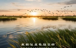 盘锦诗歌热潮为何能持续升温？