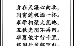 适合同学会朗诵的诗歌，哪些诗句能唤起青春共鸣？