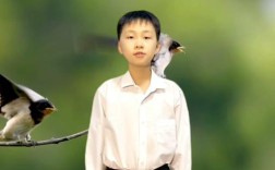 我若为燕，诗歌何为？