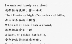 介绍诗歌 的英语作文