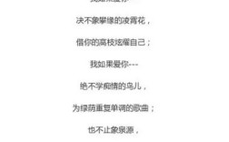 现代诗词，如何定义其边界？