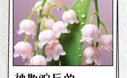 名言警句会教人欺骗吗？