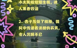 林杏子名言蕴含何种人生智慧？