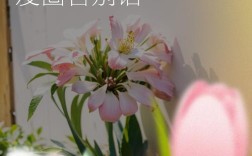 名言说结束就是开始，结束如何成为开始？