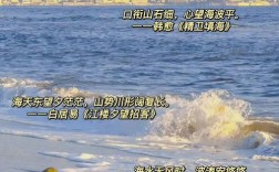 诗歌大海，藏着多少星辰？