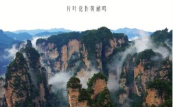 张家界，诗歌如何写山河？