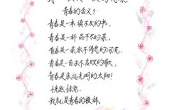 自创诗歌高中，自创诗歌高中生活