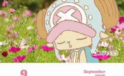 乔巴最经典名言是哪句？