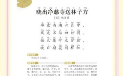 钟声在诗中如何回响？