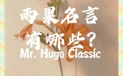 雨果说过的名言