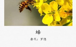 蜜蜂诗歌，是酿蜜还是咏志？