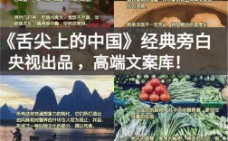 舌尖上的中国名言有何深意？