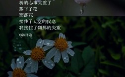 雨现代诗歌，雨现代诗歌大全