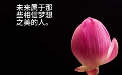 梦想的英语名言，梦想的英语名言名句