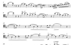 大提琴与诗，如何共鸣？