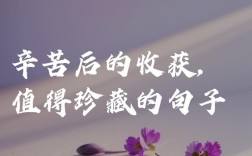 名言警句，收获何用？