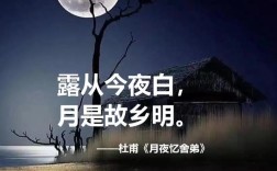 照片里藏着怎样的诗？