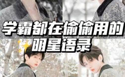 明星说名言，明星说的名言