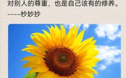 知进退的名言，知进退的名言警句