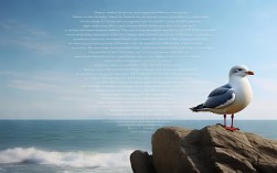 关于海鸥的诗歌，关于海鸥的诗歌简短