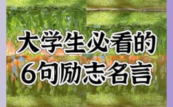 大学励志名言，大学励志名言短句霸气